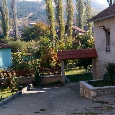 Guest House Green View Pirot Exterior photo